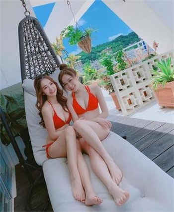 猫爪视频交易所