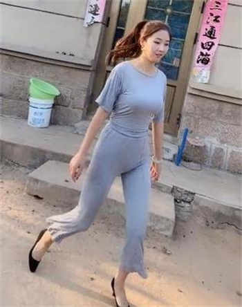 宋先生的计划免费阅读