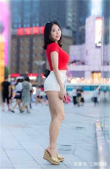成版年小猪视频app