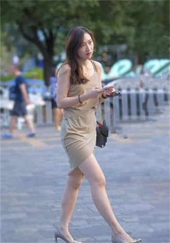 关于房东和租客的小说