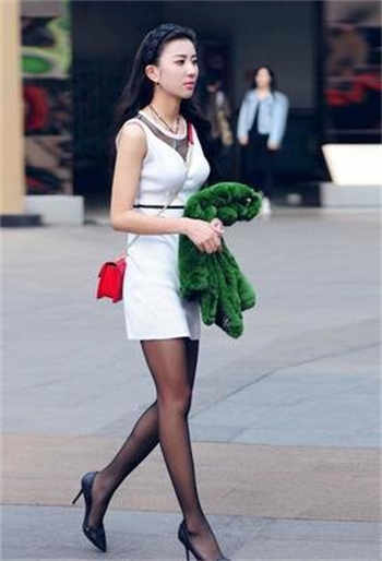 蔷薇软件hd免费下载