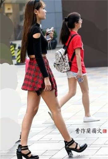 律师大人很危险小说原著