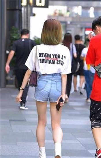 西尔酱16