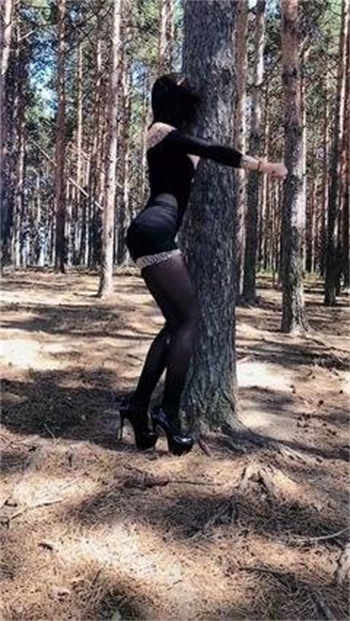 鬼魅之刃第二季