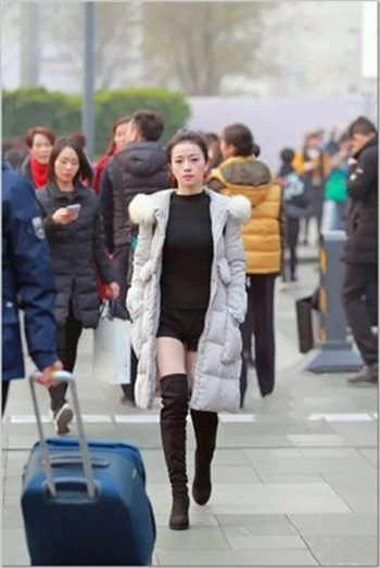 雏鹰app下载